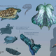 Illustration for article titled Craig Shojis Navi Artifacts